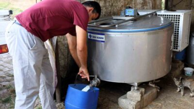 Kocaeli’de hayvancılığı destekleme projeleri kapsamında Çavuşlu Mahallesi’ndeki işletmelere süt soğutma