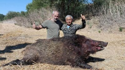 Tekirdağ’ın Hayrabolu ilçesinde sürek avına çıkan avcılar, yaklaşık 270 kilogram