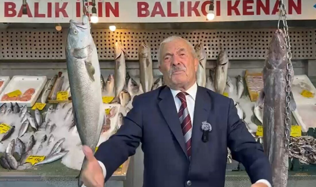 Av yasağının sona ermesiyle birlikte balıkçılar yeniden denizlere açıldı. Yeni