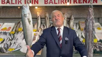 Av yasağının sona ermesiyle birlikte balıkçılar yeniden denizlere açıldı. Yeni