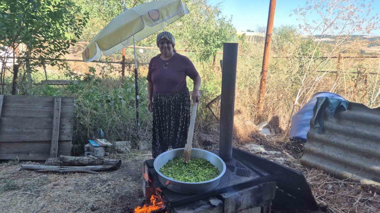 Yazın ucuzunu alıp kışa saklıyorlar: Kadınların imece telaşı 23 Bülten Medya -
