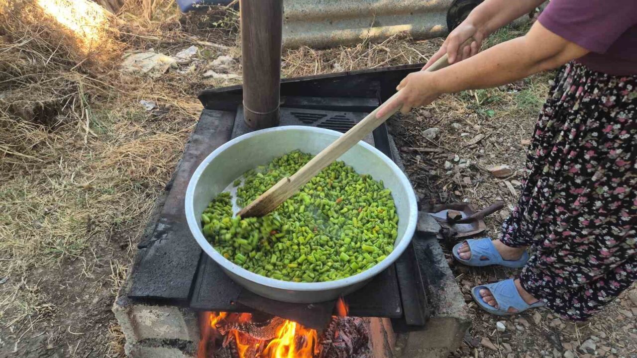 Yazın ucuzunu alıp kışa saklıyorlar: Kadınların imece telaşı 24 Bülten Medya -