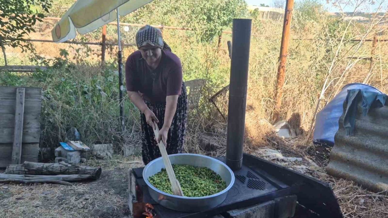 Yazın ucuzunu alıp kışa saklıyorlar: Kadınların imece telaşı 20 Bülten Medya -