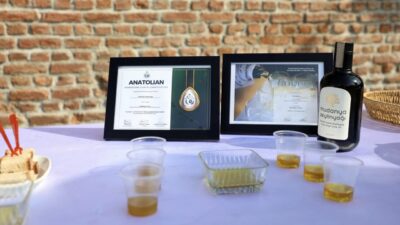 Mudanya Belediyesi’nin düzenlediği buluşmada, uluslararası ödüllü Mudanya Zeytinyağı ve Çepni