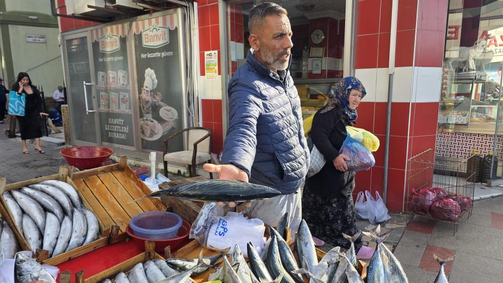 Bandırma’da palamut 100 liraya düştü 1 Bülten Medya -