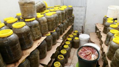 Osmangazi Belediyesi Zabıta Müdürlüğü ekipleri, vatandaşlardan gelen ihbar üzerine Küçükbalıklı
