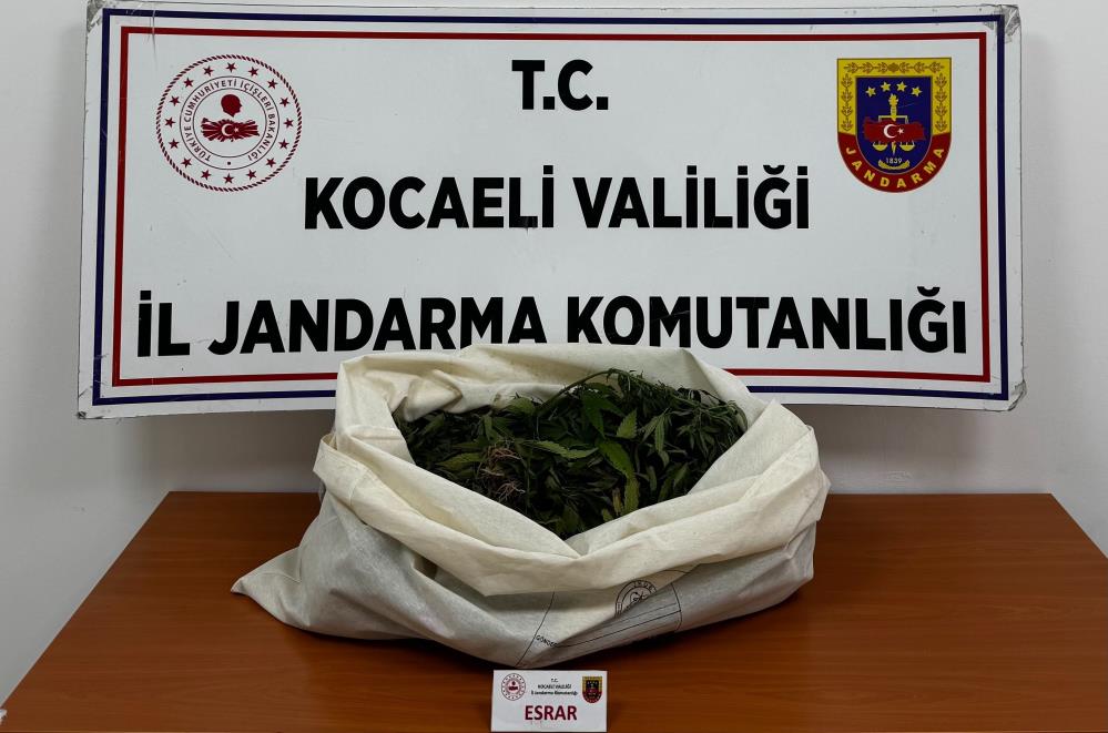 Kocaeli’de 4 ilçede uyuşturucu operasyonu: 7 şüpheliye işlem 1 Bülten Medya -
