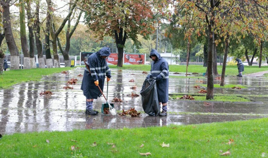 Osmangazi Belediyesi, sonbaharla birlikte ağaçlardan dökülen yaprakları düzenli olarak temizleyerek