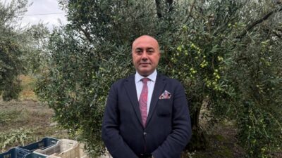 Türkiye genelinde sofralık ve yağlık zeytin rekoltesinin 3 milyon 800