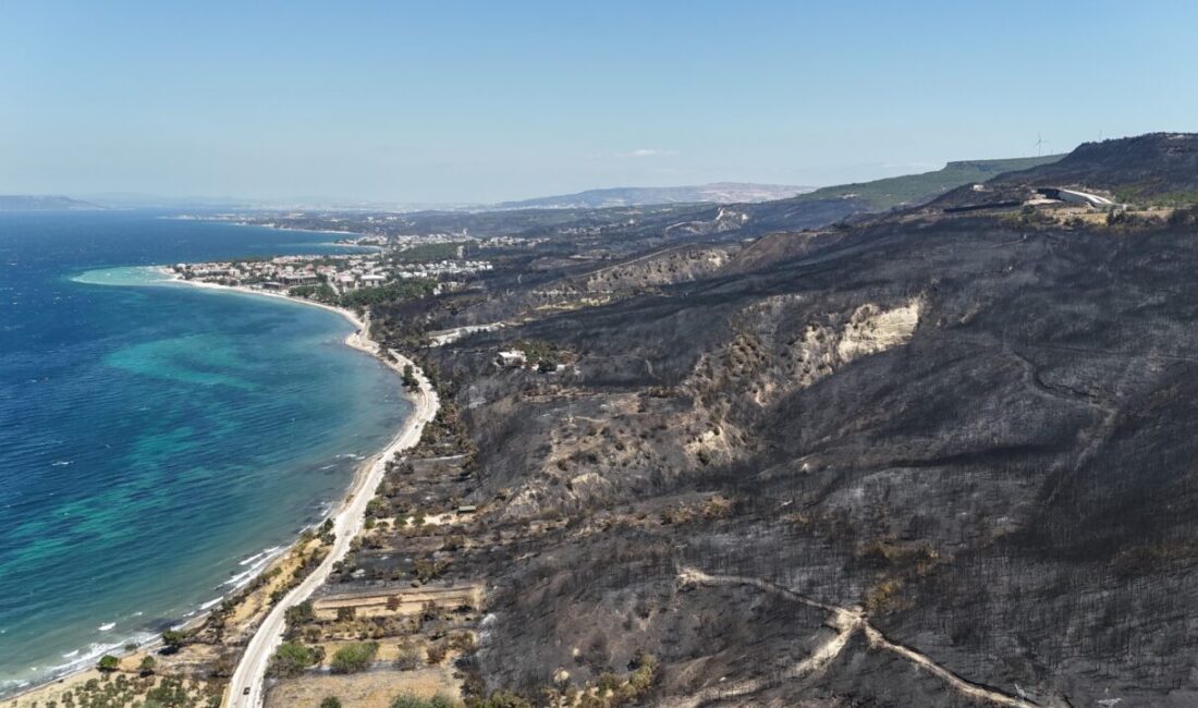 Çanakkale’de 2025 yılında çıkan orman yangınlarında zarar gören alanlarda yeniden