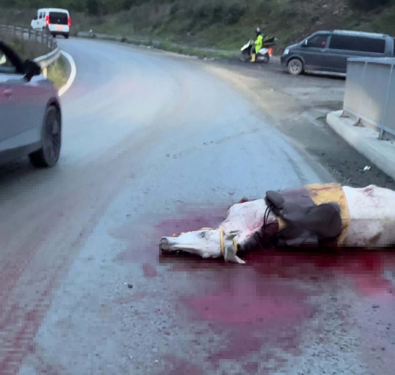 Arnavutköy’de otomobilin ata çarptığı kazada bir at telef oldu, otomobil