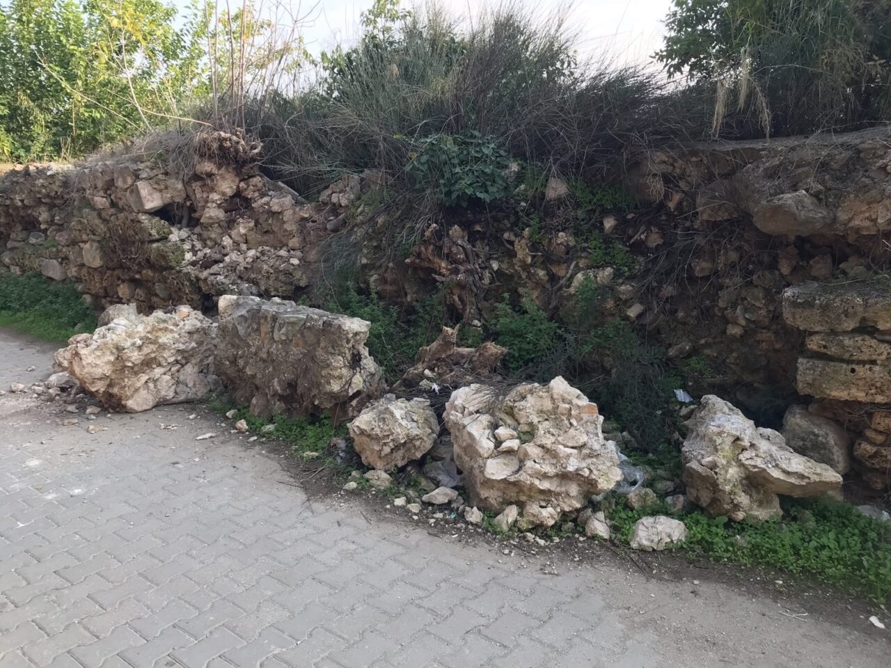 Bülten Medya -