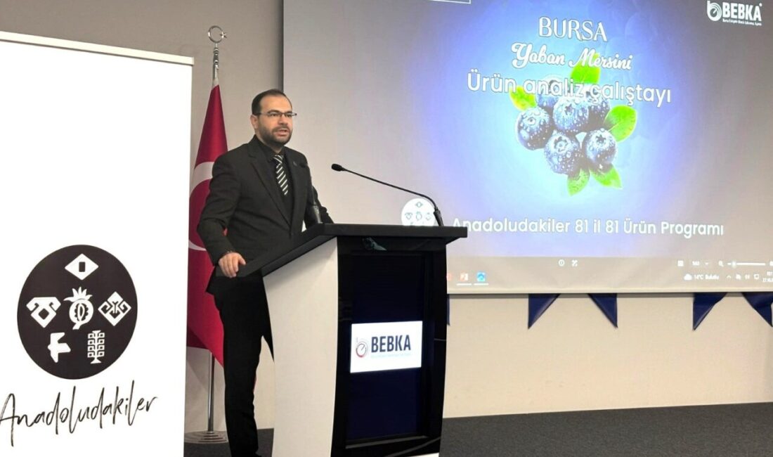 Bursa’nın yaban mersini için yol haritası hazırlanıyor Bursa’nın yaban mersini üretimindeki potansiyelini ekonomik değere dönüştürmek amacıyla