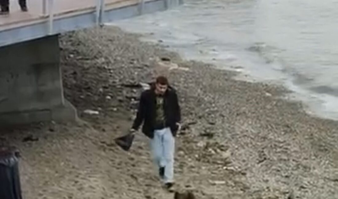 Mudanya sahilinde yaban domuzu paniği Bursa’nın Mudanya ilçesinde yiyecek arayışıyla sahile inen yaban domuzu, vatandaşlarla