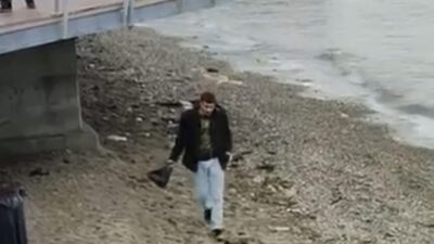 Bursa’nın Mudanya ilçesinde yiyecek arayışıyla sahile inen yaban domuzu, vatandaşlarla