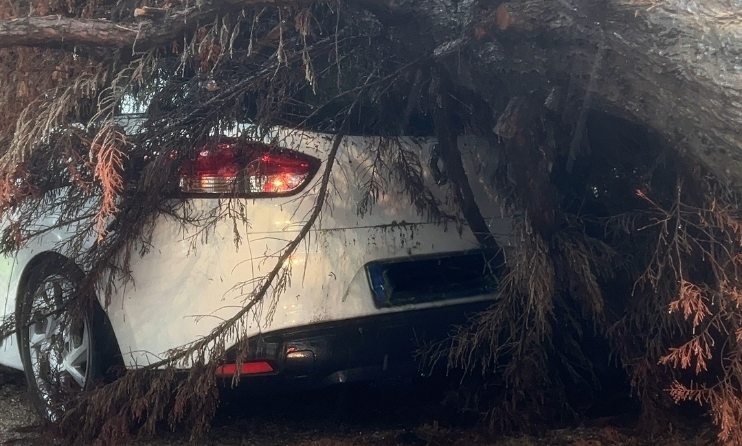 Bursa’da sağanak sonrası ağaç otomobilin üzerine devrildi Bursa’nın Mudanya ilçesinde sağanak yağışın ardından devrilen ağaç, park halindeki