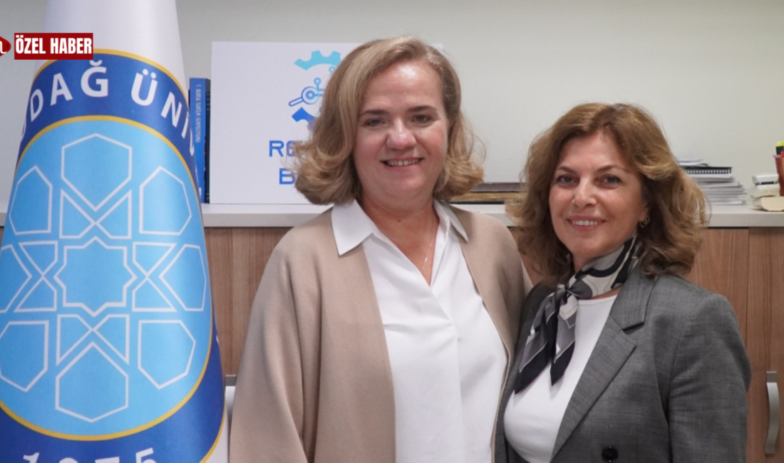 Akademik rehberlikten uluslararası projelere Bursa Uludağ Üniversitesi akademisyenleriyle gerçekleştirdiğimiz röportajda, uluslararası bilimsel projelerin