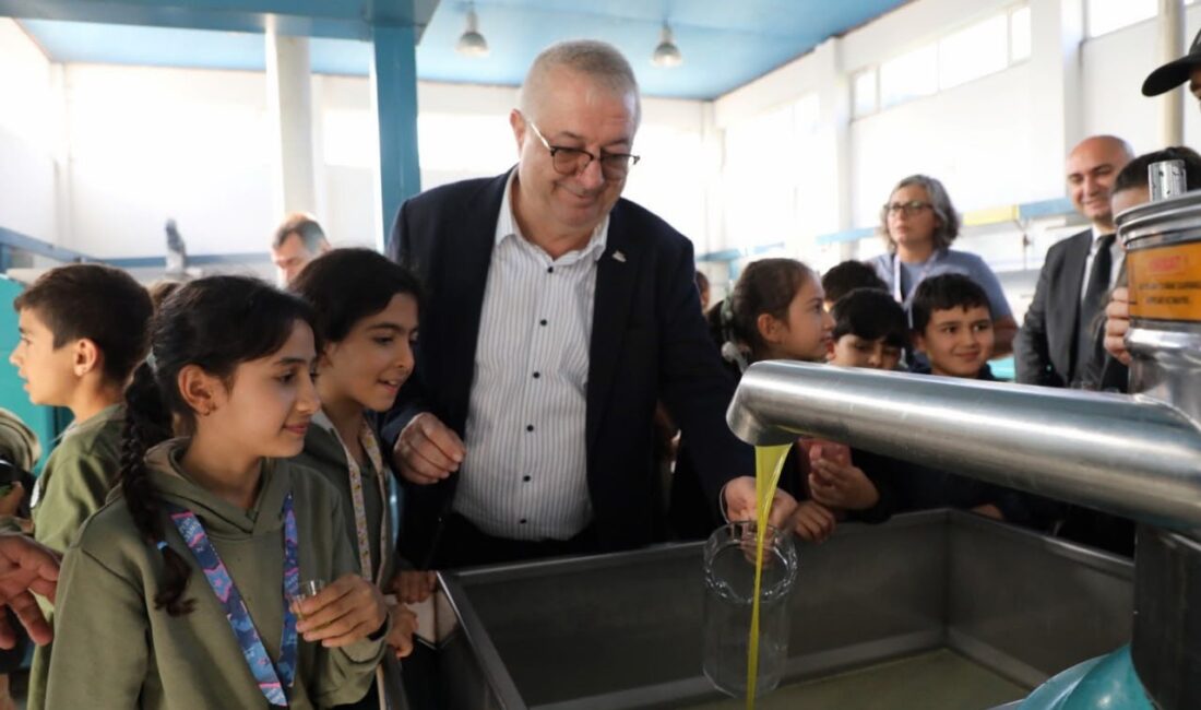 Edremit’te Avrupa Miras Günleri kapsamında düzenlenen etkinlikte öğrenciler, asırlık zeytin
