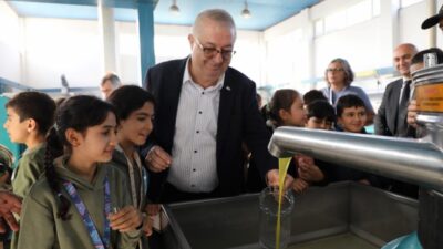 Edremit’te Avrupa Miras Günleri kapsamında düzenlenen etkinlikte öğrenciler, asırlık zeytin