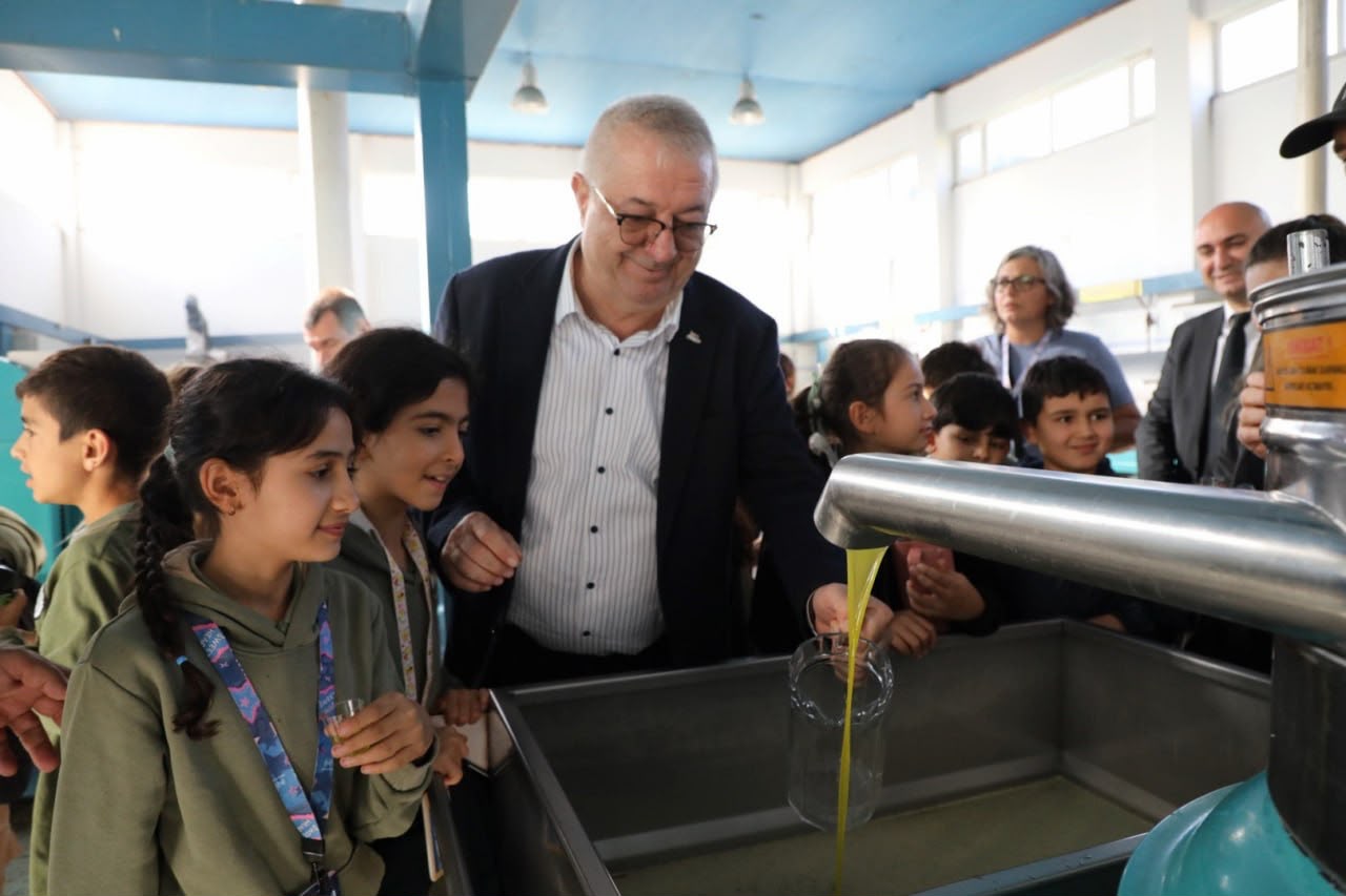 Edremit’te Avrupa Miras Günleri kapsamında düzenlenen etkinlikte öğrenciler, asırlık zeytin